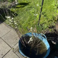 Miniaturansicht für das Anzeigenbild